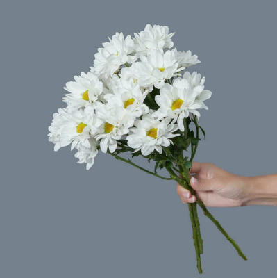 Хризантема кустовая МИКС ПОШТУЧНО N 19