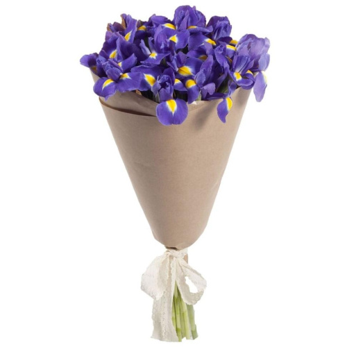 Букет из 15 синих Ирисов арт. 7334