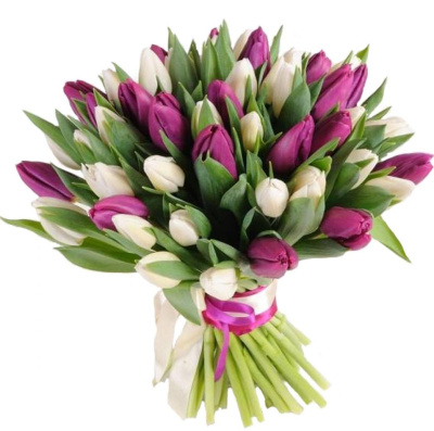 Букет из 51 Тюльпана (фиолетово-белый) 7336 Букет из 51 Тюльпана (фиолетово-белый) 7336