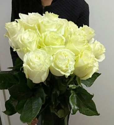 Букет из 15 белых роз Эквадор с крупным бутоном 60 см. 47178