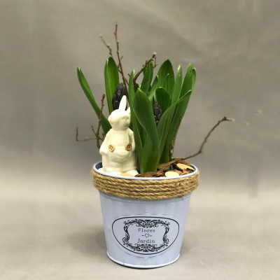 Кашпо с луковичными первоцветами S (гиацинты) S 13305